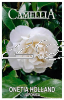 CAMELLIA Onetia Holland