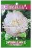 CAMELLIA Swan Lake Japonica