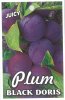 PLUM Black Doris