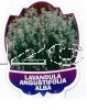 LAVANDUA angustifolia Alba