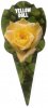 ROSE MINIATURE Yellow Doll