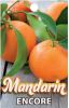 MANDARIN Encore