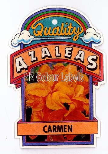 AZALEA Deciduous Ilam Carmen - Click Image to Close