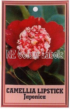 CAMELLIA Lipstick Japonica - Click Image to Close