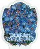 VERONICA Oxford Blue