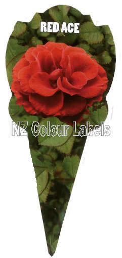 ROSE MINIATURE Red Ace - Click Image to Close