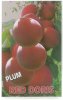 PLUM Red Doris