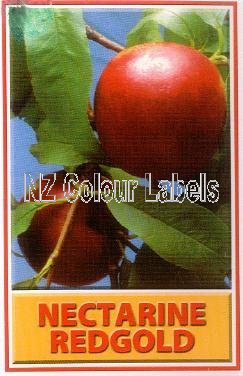 NECTARINE Redgold - Click Image to Close