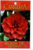 CAMELLIA Black Tie Japonica