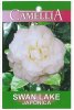 CAMELLIA Swan Lake Japonica