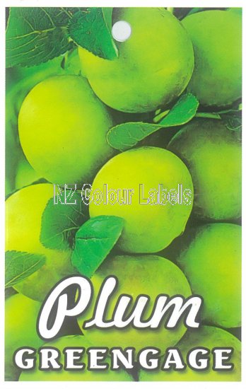 PLUM Greengage - Click Image to Close