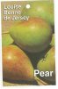 PEAR Louise Bonne De Jersey