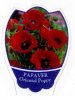 PAPAVER orientale [Oriental Poppy]