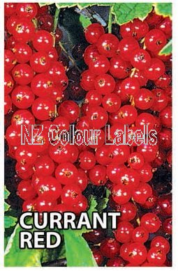 CURRANTS Red - Click Image to Close