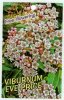 VIBURNUM Eve Price