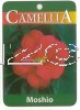 CAMELLIA Mosho Flame