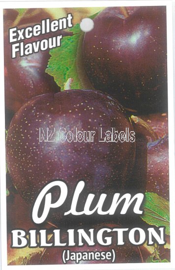 PLUM Billington - Click Image to Close