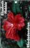 RHODODENDRON Elizabeth Hobbie