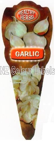 Garlic - Allium Sativum - Click Image to Close