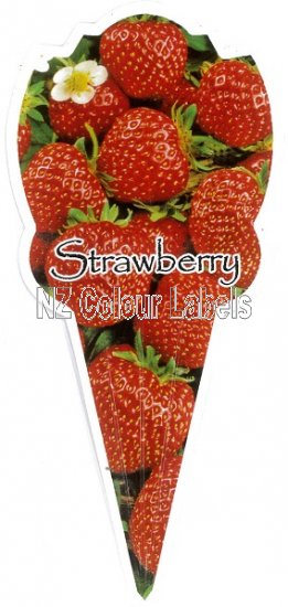 STRAWBERRY - Click Image to Close