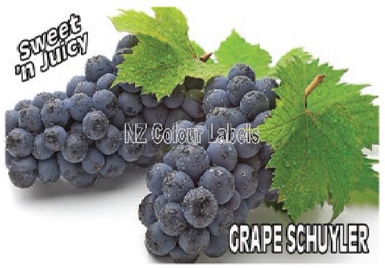 GRAPE Schuyler - Click Image to Close