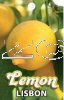 LEMON Lisbon