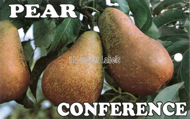 PEAR Conference - Click Image to Close