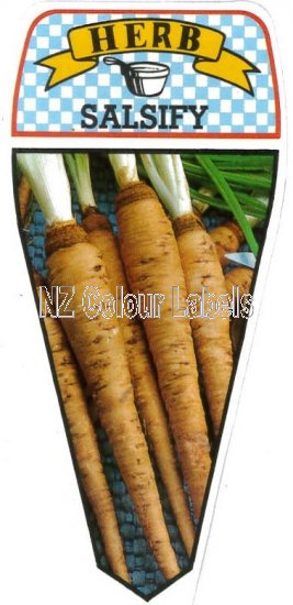 Oyster Plant - Salsify Oyster Plant - Click Image to Close