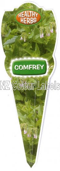 Comfrey - Symphytum Officinale - Click Image to Close