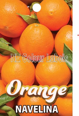 ORANGE Navelina - Click Image to Close