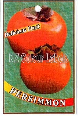 PERSIMMON Persimmon - Click Image to Close