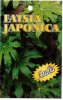 FATSIA japonica