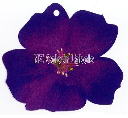 TIBOUCHINA Royal Silk - Click Image to Close