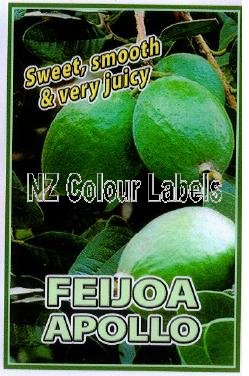 FEIJOA Apollo - Click Image to Close