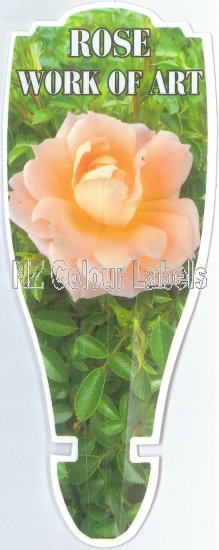 ROSE MINIATURE Work of Art - Click Image to Close