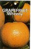 GRAPEFRUIT Wheeny