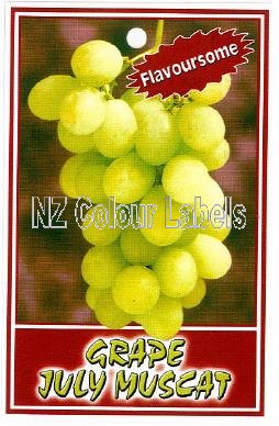 GRAPE July Muscat - Click Image to Close