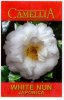 CAMELLIA White Nun