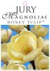 MAGNOLIA HONEY TULIP