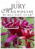 MAGNOLIA BURGUNDY STAR