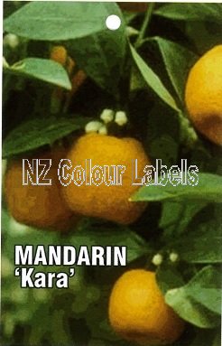 MANDARIN Kara - Click Image to Close