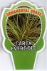 CAREX Evergold