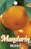 MANDARIN Miho