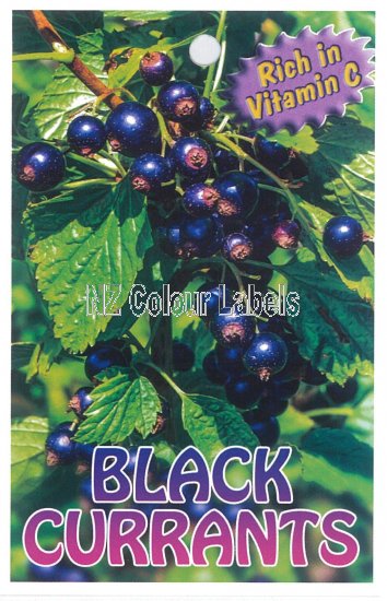 CURRANTS Black - Click Image to Close