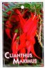 CLIANTHUS Maximus