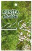 KUNZEA ericoides