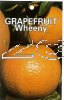 GRAPEFRUIT Wheeny