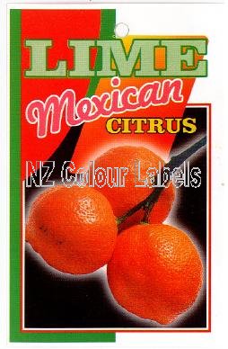 LIME Mexican - Click Image to Close