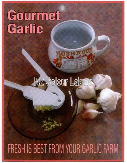 Garlic - Allium Sativum - Click Image to Close