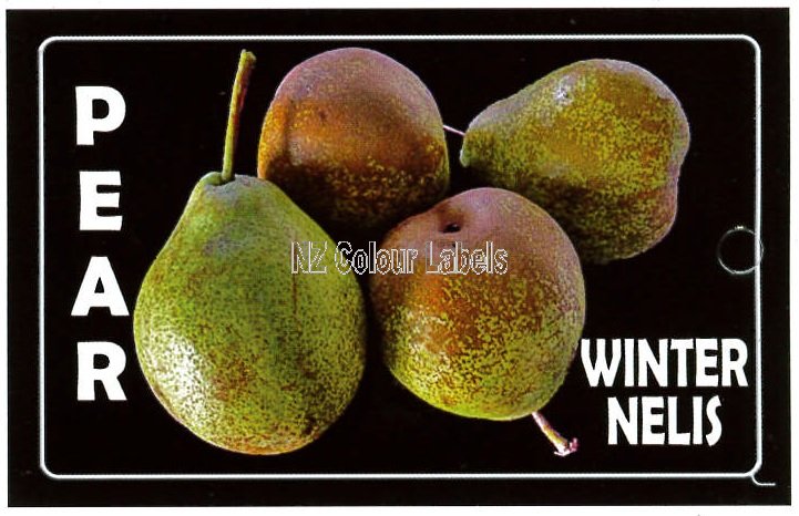 PEAR Winter Nelis - Click Image to Close